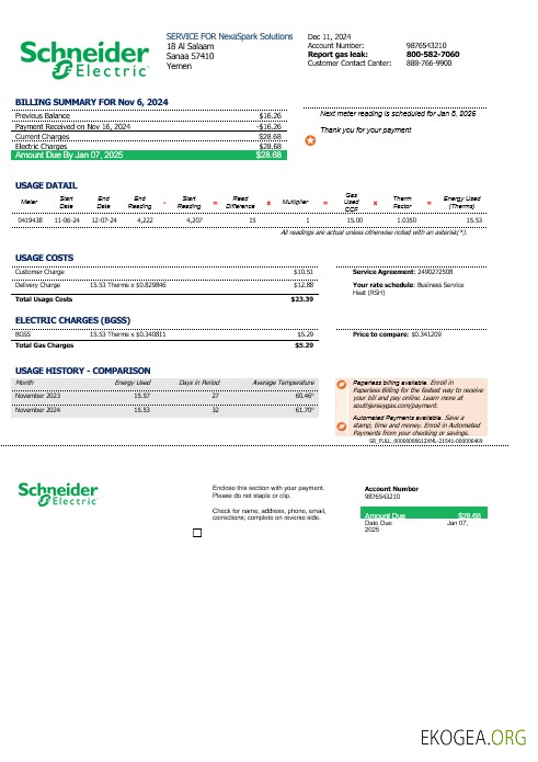 Modèle de facture de services publics pour les entreprises du Yémen Schneider Electric aux formats Word et PDF